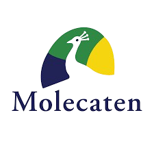 Vakantiepark Molecaten